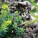 Private hiking in El Torcal from Marbella or Malaga - Who Would Love This Tour?