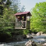 Private Hiking Tour to Mtirala National Park from Batumi - Who Is This Tour Perfect For?