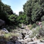 PRIVATE Hiking Walking GORGE nearby Hersonissos CRETE - Authenticity and Value