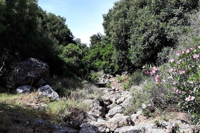 PRIVATE Hiking Walking GORGE nearby Hersonissos CRETE - Authenticity and Value
