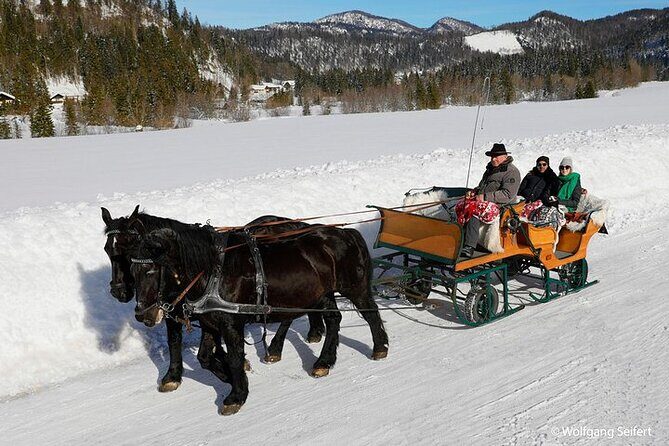 Private Horse-Drawn Sleigh Ride from Salzburg - Who Should Consider This Tour?