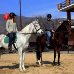 Private Horse Ridding tour - Who Should Consider This Tour?
