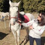 Private Horse Riding in Teteven Balkan from Sofia - Discovering the Experience: What’s Included and How It Works