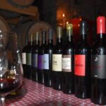 Private Hvar Wine Tasting Tour - Who Should Book This Tour?