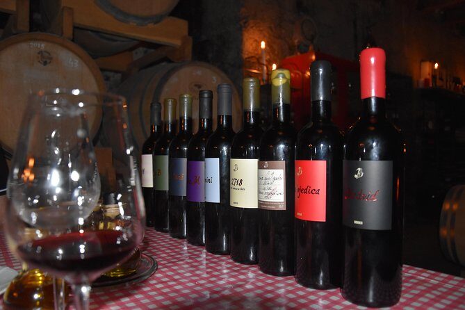 Private Hvar Wine Tasting Tour - Who Should Book This Tour?
