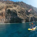 Private Kayak Tour in Câmara de Lobos - Final Thoughts: Who Should Book This Tour?