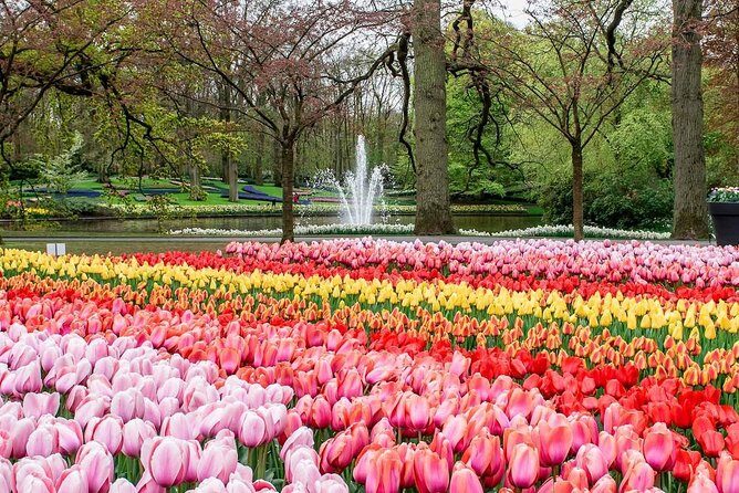 Private Keukenhof Tulip Fields Tour From Amsterdam(Skip-The-Line) - The Sum Up