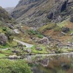Private Killarney National Park Tour with an accredited chauffeur/guide - Transportation and Comfort