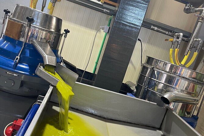 PRIVATE-Knossos-Winery-Olive Oil Factory-Traditional Villages - Who Should Book This Tour?