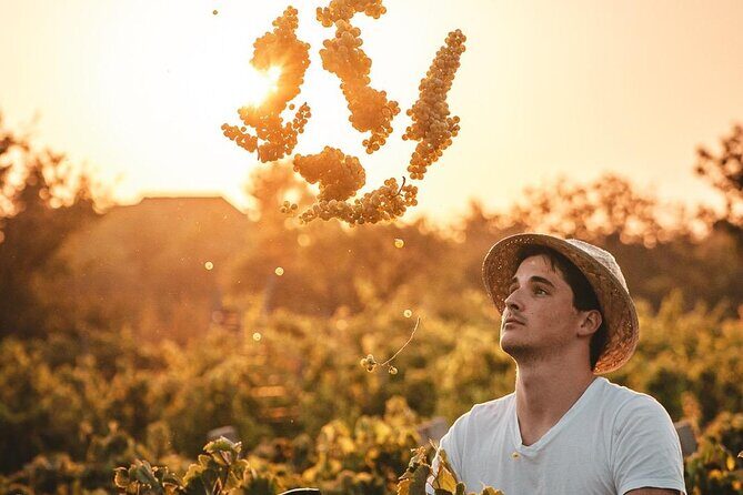 Private Krka Waterfalls Tour with Wine Tasting - Who Will Love This Tour?