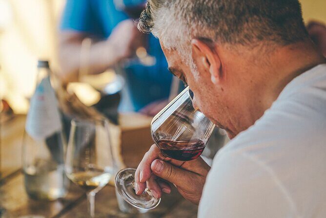 Private Langhe and Barolo Wine Tour from Milan - Why This Tour Stands Out