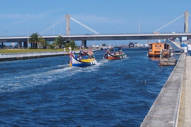 Private Lisbon to Porto tour - Scenic Stops - Electric Vehicle - Final Thoughts