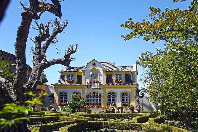 Private Lisbon wine tasting tour in the Setubal region - Why This Tour Offers Great Value