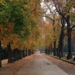 Private Lucca Wine Tour: 2 Wineries with Lunch - Authentic Experiences, Not Just a Sip