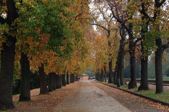 Private Lucca Wine Tour: 2 Wineries with Lunch - Authentic Experiences, Not Just a Sip