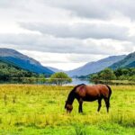 Private Luxury Tour of The Highlands and Loch Ness From Glasgow - The Sum Up: Is This Tour Worth It?