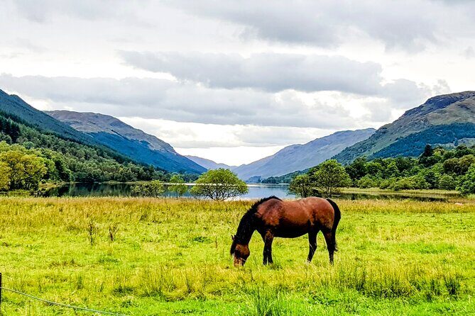 Private Luxury Tour of The Highlands and Loch Ness From Glasgow - The Sum Up: Is This Tour Worth It?