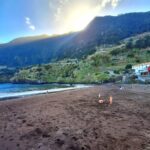 Private Madeira Complete Full Day Tour - Who Would Enjoy This Tour?