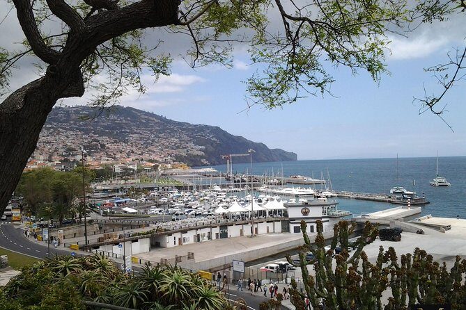 Private Madeira Tour up to 4 people - FAQs