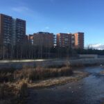 Private Madrid Fullday Guided Tour with Dlx Car - Authentic Experiences and Reviews