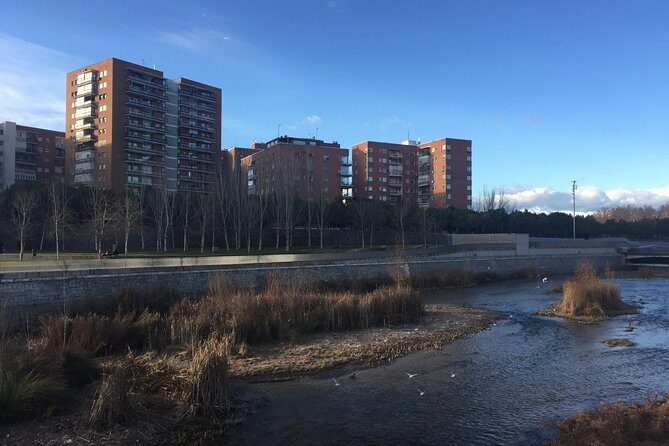 Private Madrid Fullday Guided Tour with Dlx Car - Authentic Experiences and Reviews