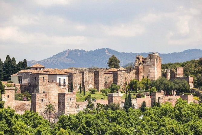 Private Malaga: Alcazaba, Museum, Market, Cathedral & Picasso - Who Will Love This Tour?