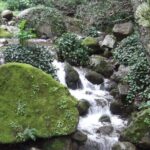 Private Monchique Guided Forest Hike w/Medronho Tasting - Final Thoughts: Why Choose This Tour?