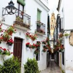 Private Mosque-Cathedral Tour in Cordoba - The Mosque-Cathedral Itself
