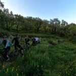 Private MTB Enduro Trail Tour in Sintra - Cascais Natural park - Meeting Points and Logistics
