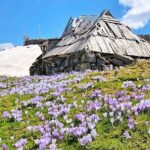 Private North Montenegro, Durmitor, Tara and Ostrog Tour - Final Thoughts: Is This Tour Right for You?