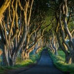 Private Northern Ireland Day Tour from Dublin - Who Would Love This Tour?
