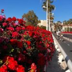 Private Old Town Golden Age Valencia Tour - FAQ