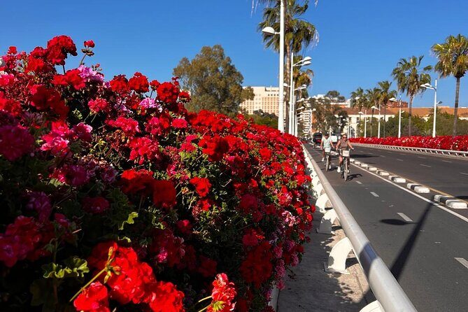 Private Old Town Golden Age Valencia Tour - FAQ