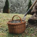 Private Olive Oil and Wine Tasting in Kurilo, Montenegro - Key Points