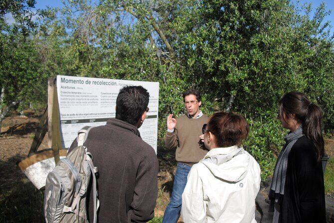Private Olive Oil Tour from Sevilla - FAQ