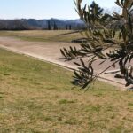 Private Olympia skip-the-line tour with a local tour guide - Who Would Love This Tour?