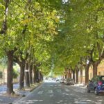 Private One Day Tour to Pisa and Lucca - Exploring the Itinerary in Detail