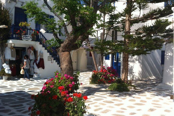 Private Only "The Highlights" Walking tour - A Closer Look at the Itinerary