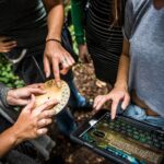 Private Outdoor Escape Room Magisches Portal - Why This Experience Stands Out