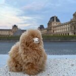 Private Paris City Night Sightseeing Tour - Sparkle Eiffel Tower - A Breakdown of the Itinerary