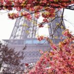 Private Photo Tour in Paris with a Professional Photographer - The Sum Up