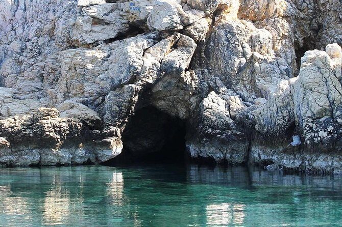 Private Plavnik Island Half-Day boat trip with capt. Bobo - Why Choose This Tour?