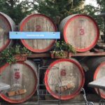 Private Pompeii and Herculaneum Day Tour with Pick Up - Final Thoughts: Who’s It Best For?