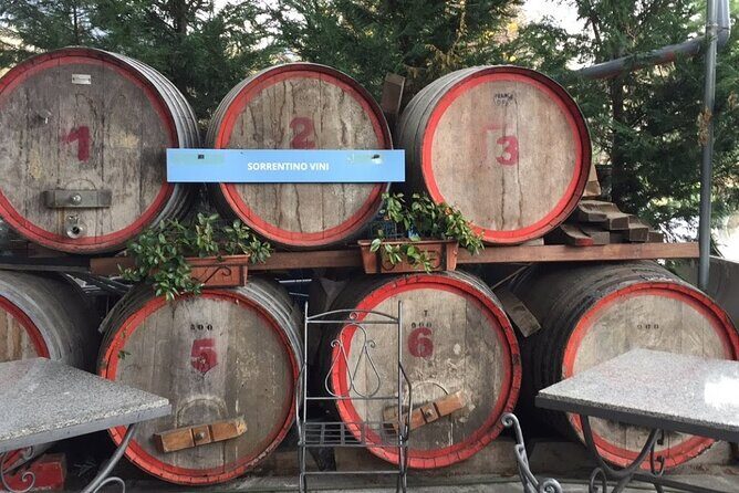 Private Pompeii and Herculaneum Day Tour with Pick Up - Final Thoughts: Who’s It Best For?