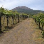 Private Pompeii, Herculaneum and Winery Tour from Naples - Who Will Love This Tour?