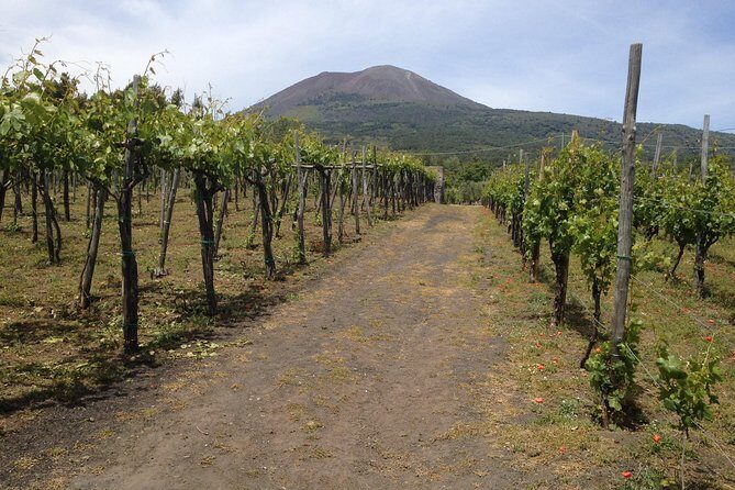 Private Pompeii, Herculaneum and Winery Tour from Naples - Who Will Love This Tour?