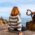 Private Premium Tour of San Sebastian and Chillida Leku Museum - Who Will Love This Tour?