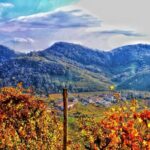 Private Prosecco Tour, with a certified Sommelier - Why This Tour Works for You