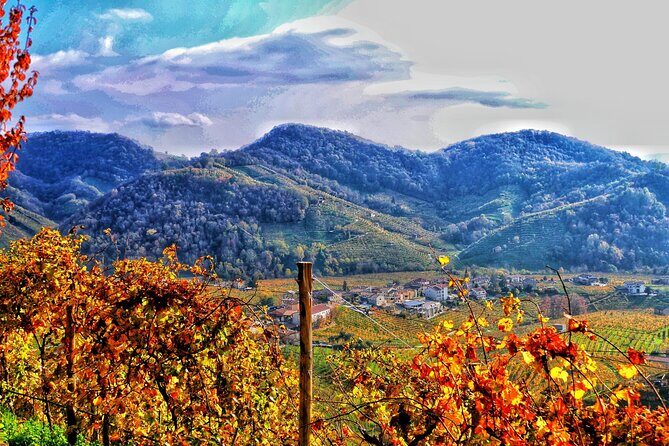 Private Prosecco Tour, with a certified Sommelier - Why This Tour Works for You