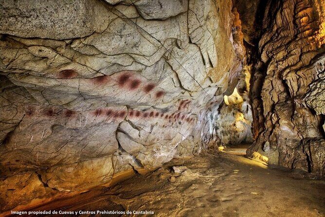 Private Puente Viesgo Caves Full-Day Tour from Santander - What Makes This Tour Stand Out?